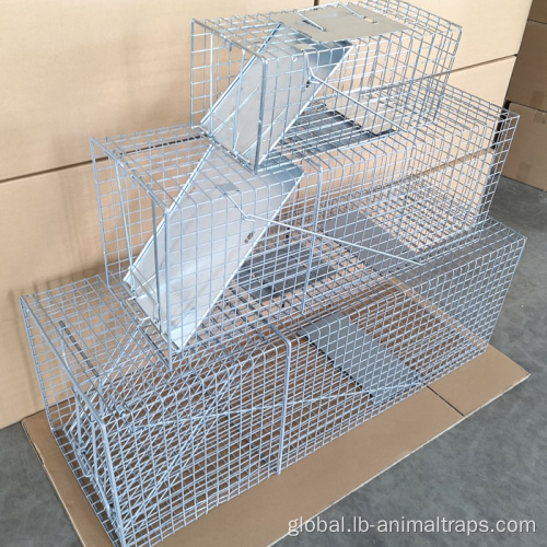 China New Arrival Hot Sale of Animal Trap Cage Factory